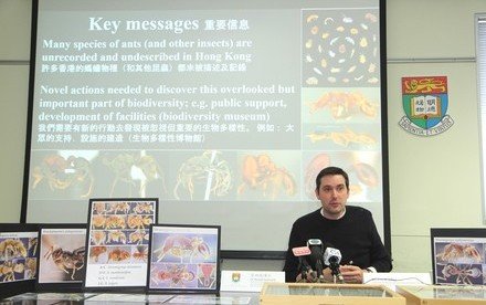 Thirteen new ant species discovered by HKU Ecologists