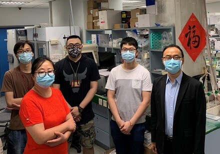 HKU researchers identify promising new biologics for obesity-related diseases