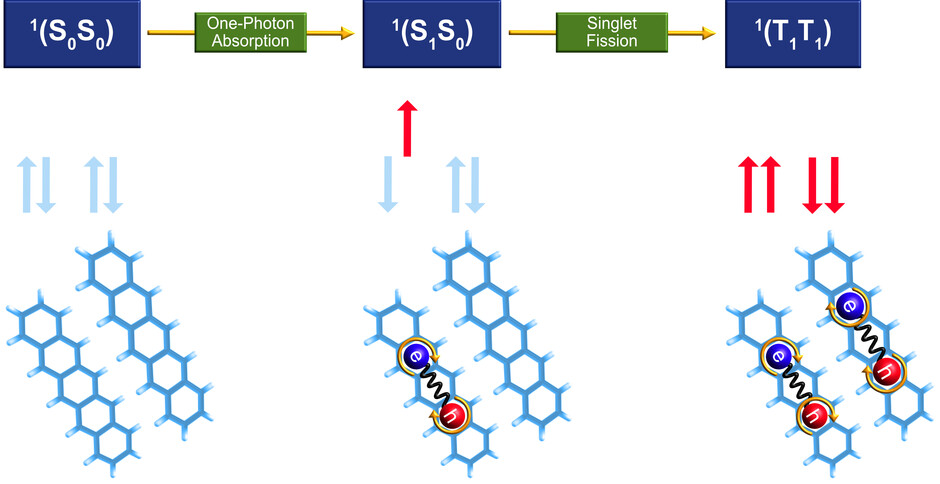  The singlet fission process in pentacene dimer.