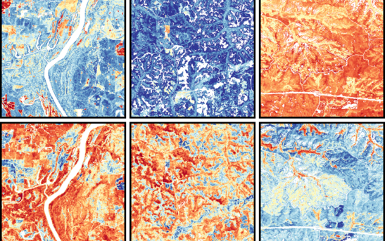 High-resolution satellite images that captured multispectral data recorded the reflections of light from plant leaves. Figures adapted from Remote Sensing of Environment, 2024, doi.org/10.1016/j.rse.2024.114082. 