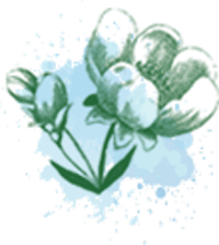 Oak Flower Donor