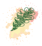 Oak Leaf Donor