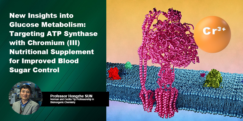 New Insights into Glucose Metabolism: Targeting ATP Synthase with Chromium (III) Nutritional Supplement for Improved Blood Sugar Control