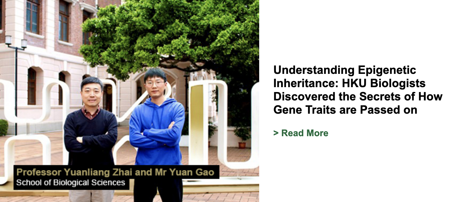 Understanding Epigenetic Inheritance: HKU Biologists Discovered the Secrets of How Gene Traits are Passed on
