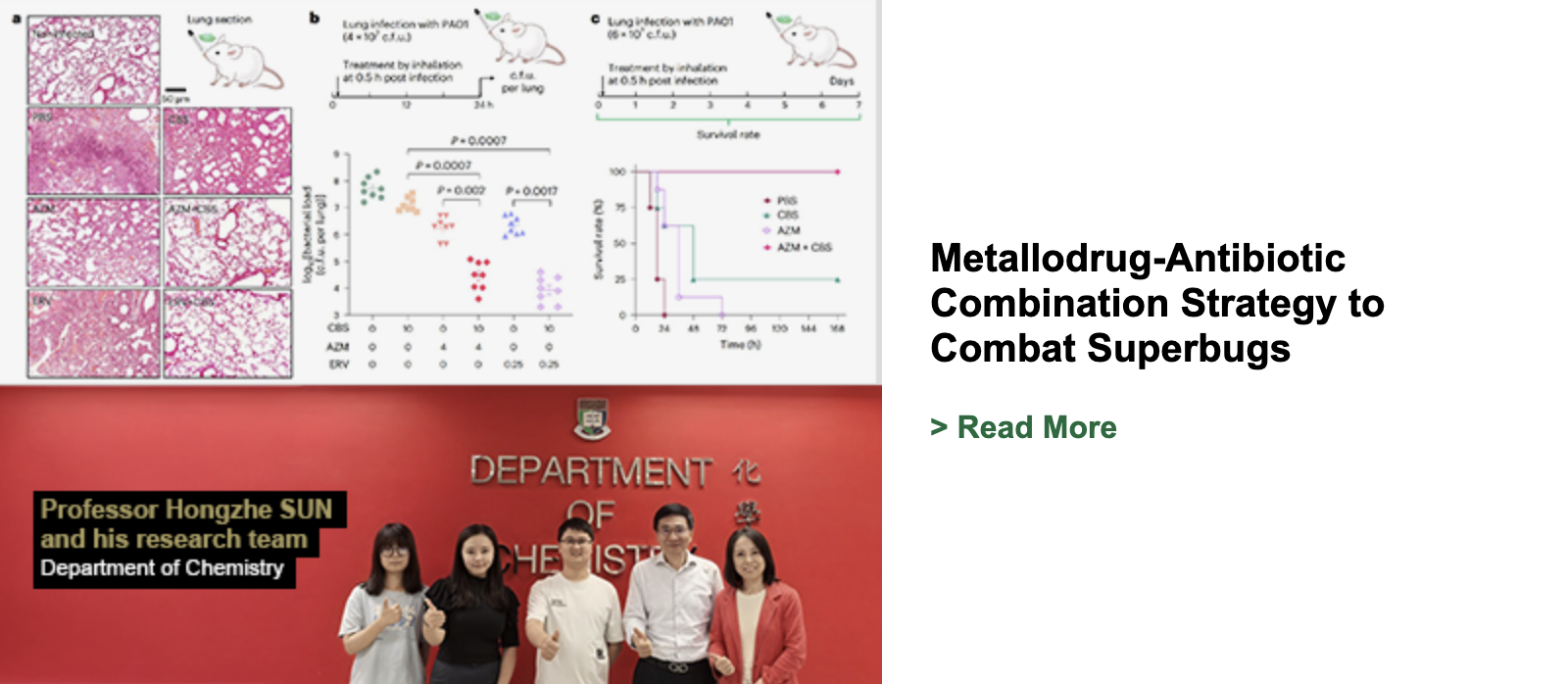 Metallodrug-Antibiotic Combination Strategy to Combat Superbugs