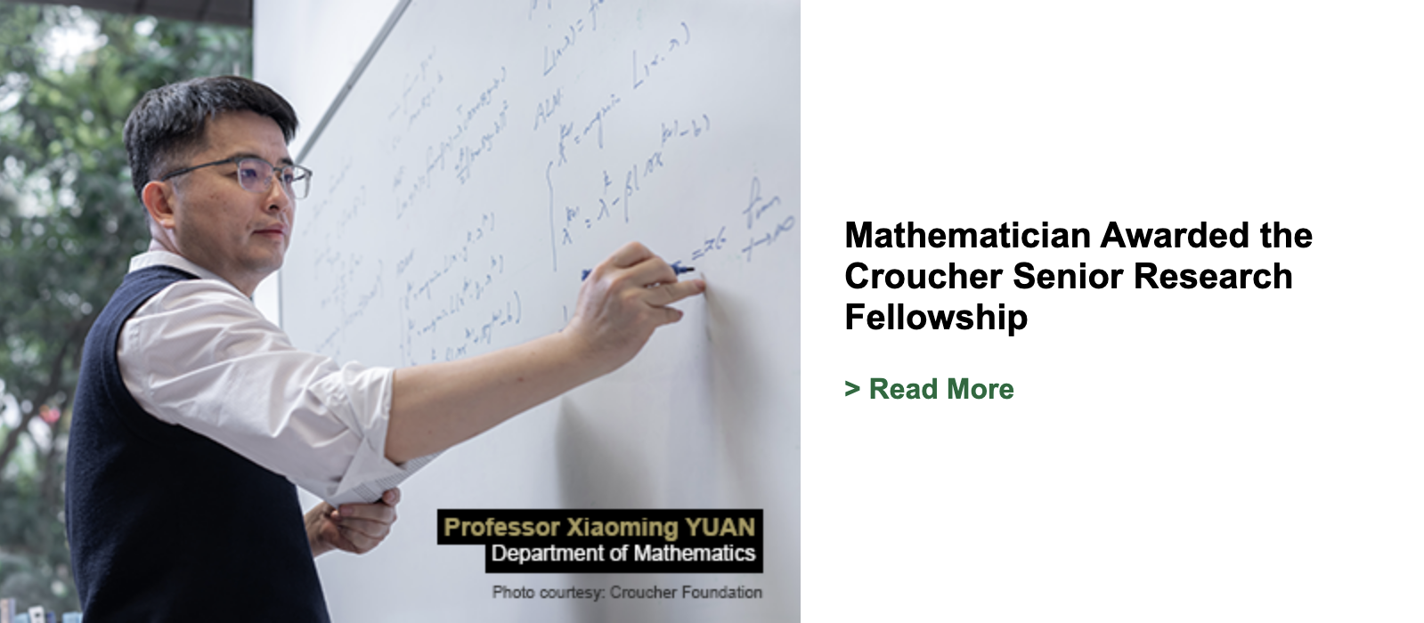 Mathematician Awarded the Croucher Senior Research Fellowship