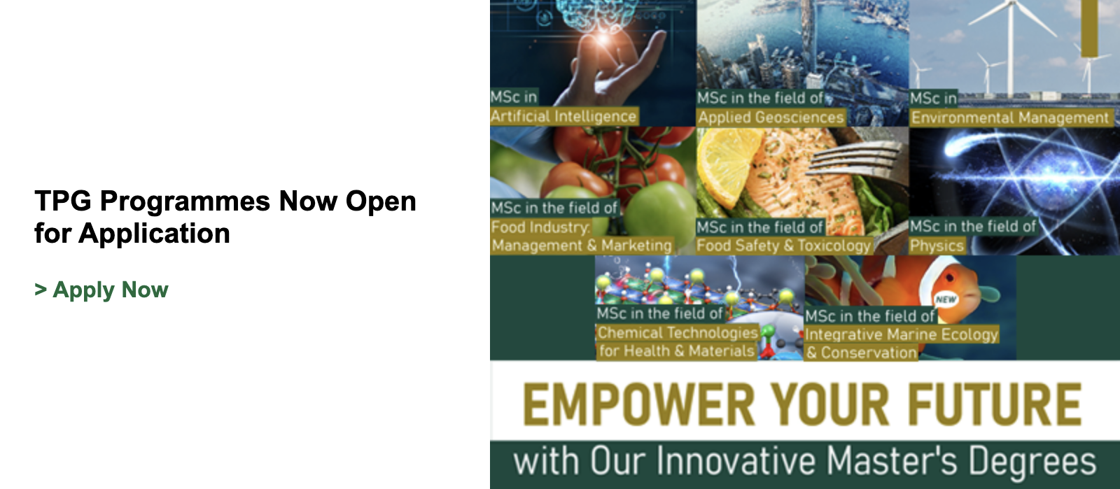 TPG Programmes Open for Application