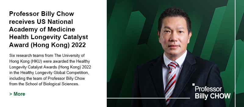 Professor Billy Chow receives US National Academy of Medicine Health Longevity Catalyst Award 2022
