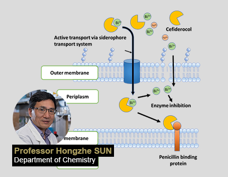 HKU Chemists Pioneer Dual Trojan Horse Approach to Combat Superbugs