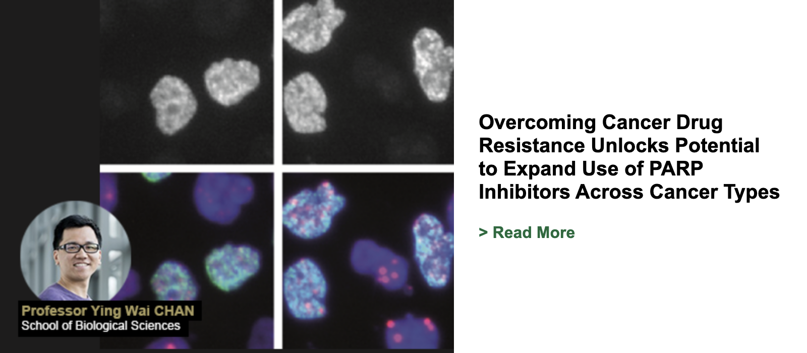 Overcoming Cancer Drug Resistance Unlocks Potential to Expand Use of PARP Inhibitors Across Cancer Types