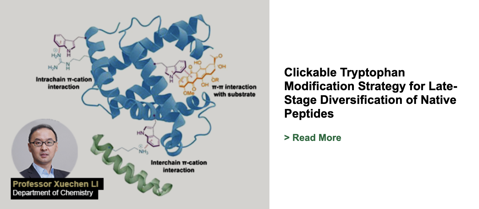 Clickable Tryptophan Modification Strategy for Late-Stage Diversification of Native Peptides
