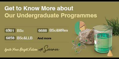 Konw more about our undergraduate programmes