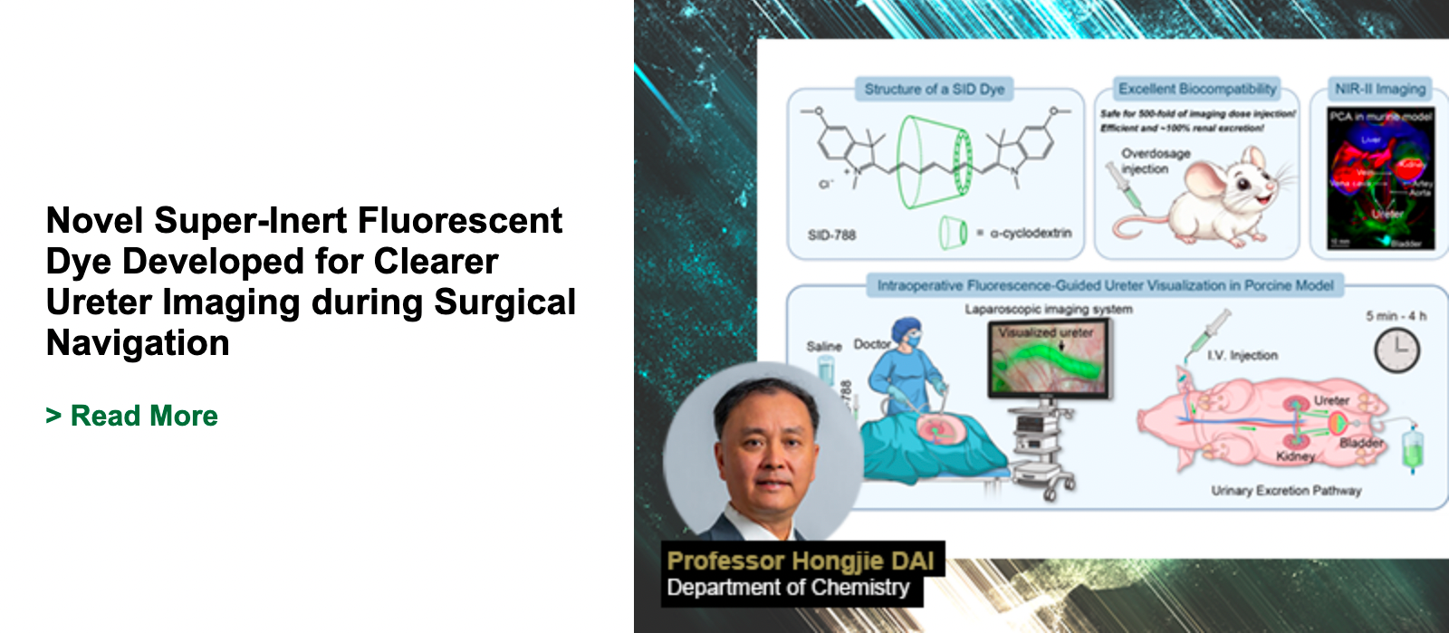 Novel Super-Inert Fluorescent Dye Developed for Clearer Ureter Imaging during Surgical Navigation
