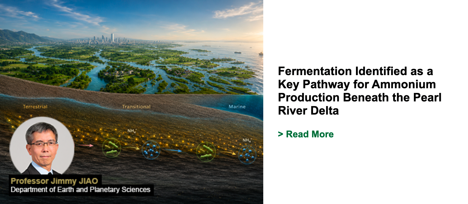 Fermentation Identified as a Key Pathway for Ammonium Production Beneath the Pearl River Delta
