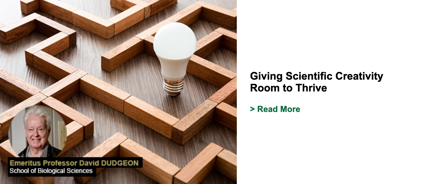 Giving Scientific Creativity Room to Thrive