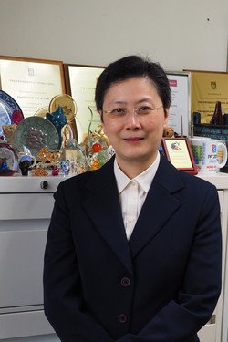 Professor Vivian Wing-wah Yam