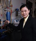 Professor Vivian Wing-wah Yam