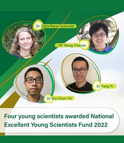 From the upper left: Dr Celia Marei Schunter, Dr Hui Chun Yin, Dr Yang Yi and Dr Wang Chenjie.