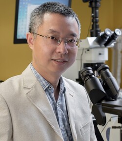 Dr Jinyao TANG
