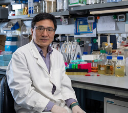 Professor Hongzhe Sun