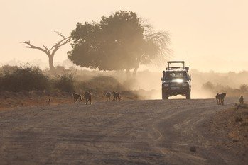 Amboseli