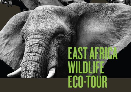 East Africa Wildlife Eco-Tour