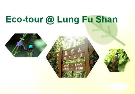 Eco-tour @ Lung Fu Shan