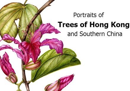 Arts Exhibition and Book Launch: Portraits of Trees of Hong Kong and Southern China
