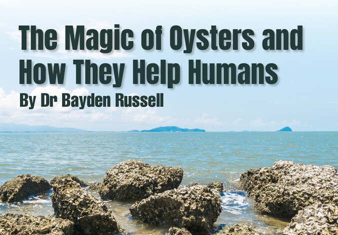 Public lecture@Zoom - The Magic of Oysters