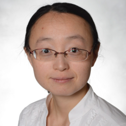 Dr Ying LI