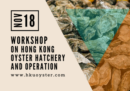 Workshop on Hong Kong Oyster Hatchery Design and Operation