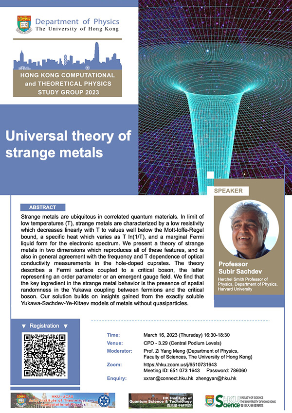 Universal theory of strange metals