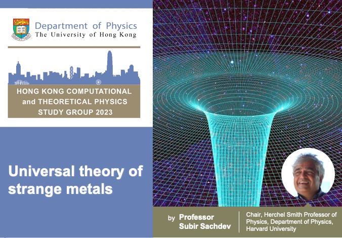Universal theory of strange metals