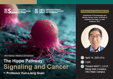 HKU Science x Medicine Joint Seminar -- The Hippo Pathway: Signaling and Cancer