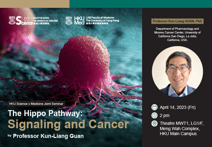 HKU Science x Medicine Joint Seminar -- The Hippo Pathway: Signaling and Cancer