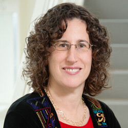 Professor Sharon Hammes-Schiffer