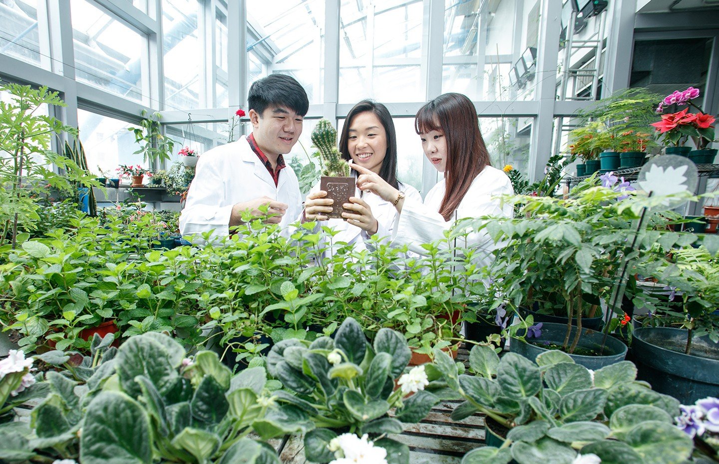 students in green house