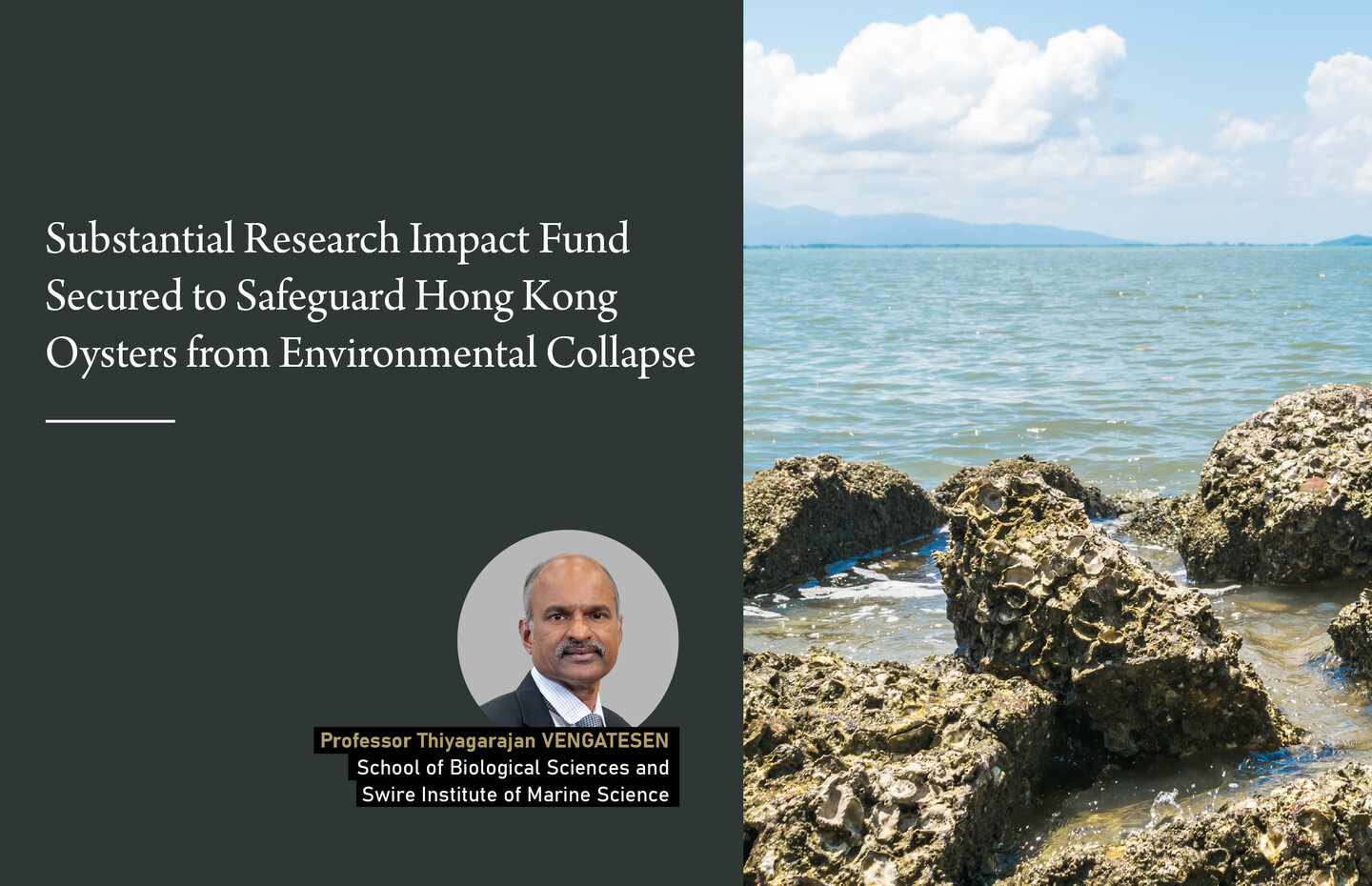 Substantial Research Impact Fund Secured to Safeguard Hong Kong Oysters from Environmental Collapse