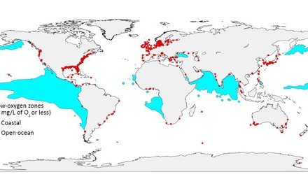 The Ocean Is Losing Its Breath. Here’s the Global Scope.