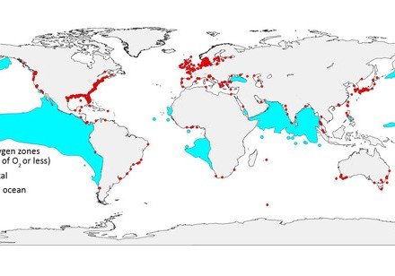 The Ocean Is Losing Its Breath. Here’s the Global Scope.