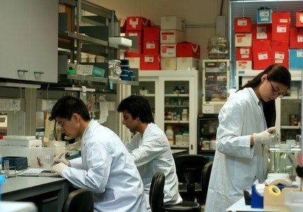 HKU Faculty of Science obtaining new accreditation for  the Majors of Ecology & Biodiversity and Molecular Biology & Biotechnology