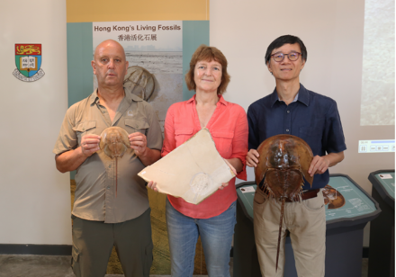 HKU Stephen Hui Geological Museum Exhibition to Launch on Endangered Species Day 2018 “Hong Kong’s Living Fossils” – The Evolution of Horseshoe Crabs