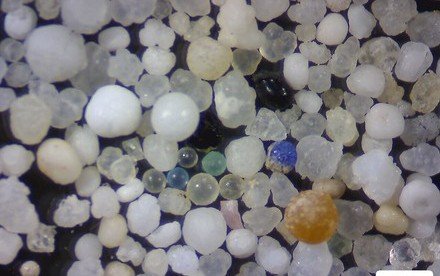 HKU Earth Science study finds that most of the coastal waters of Hong Kong are polluted by plastic microbeads