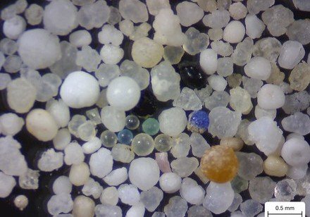 HKU Earth Science study finds that most of the coastal waters of Hong Kong are polluted by plastic microbeads