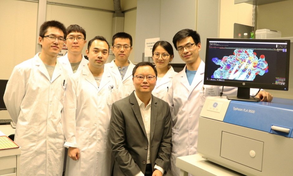 Dr Xiang David Li and his research group at HKU Department of Chemistry.