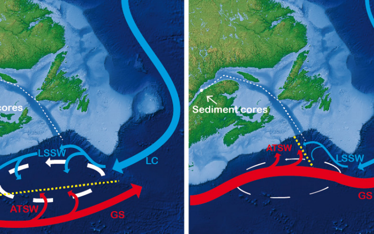 Теплые течения лабрадорское. Лабрадорское течение на карте. Зоны конвергенции в мировом океане. Лабрадорское течение на контурной карте.