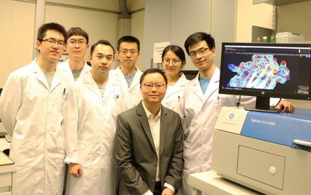 HKU Chemists Develop the First-in-class YEATS Inhibitors that Show Promise for Leukemia Treatment