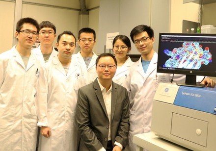 HKU Chemists Develop the First-in-class YEATS Inhibitors that Show Promise for Leukemia Treatment