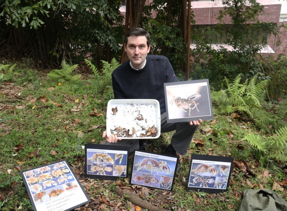 Dr Benoit Guénard from HKU School of Biological Sciences