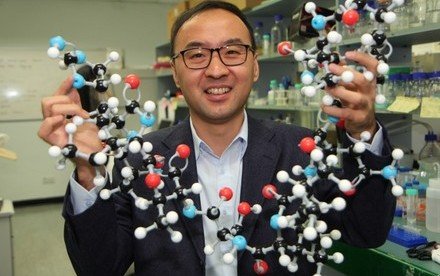 HKU Chemist Professor Xuechen Li elected to the HK Young Academy of Sciences